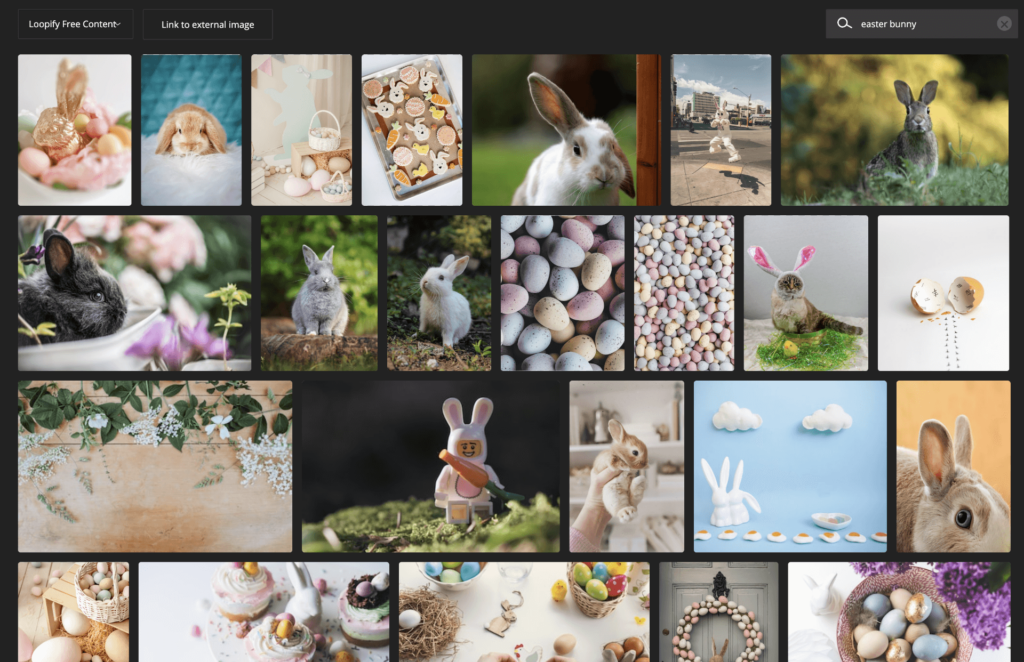 Unsplash Easter bunny photos.